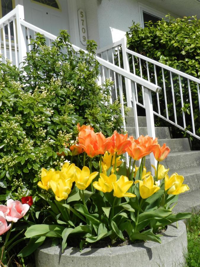 Bed and Breakfast Serenity Burnaby Zewnętrze zdjęcie