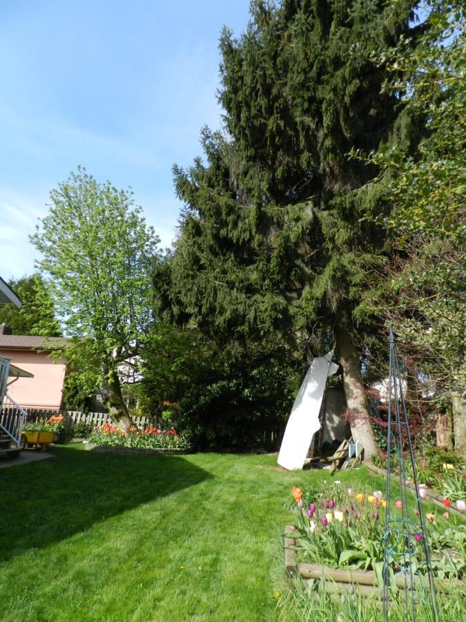 Bed and Breakfast Serenity Burnaby Zewnętrze zdjęcie