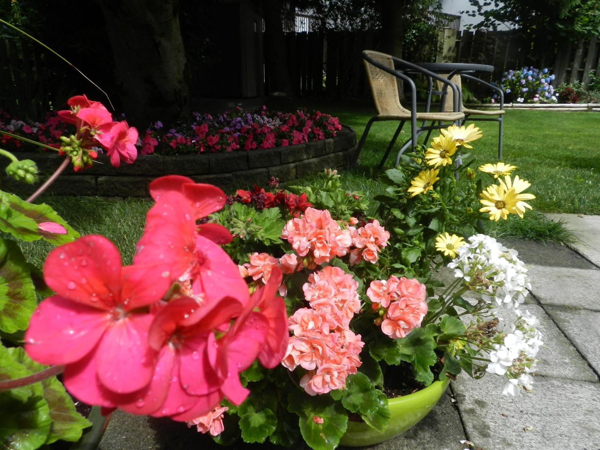 Bed and Breakfast Serenity Burnaby Zewnętrze zdjęcie