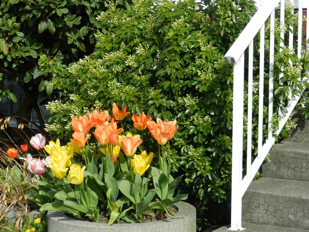 Bed and Breakfast Serenity Burnaby Zewnętrze zdjęcie