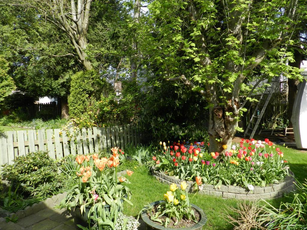 Bed and Breakfast Serenity Burnaby Zewnętrze zdjęcie