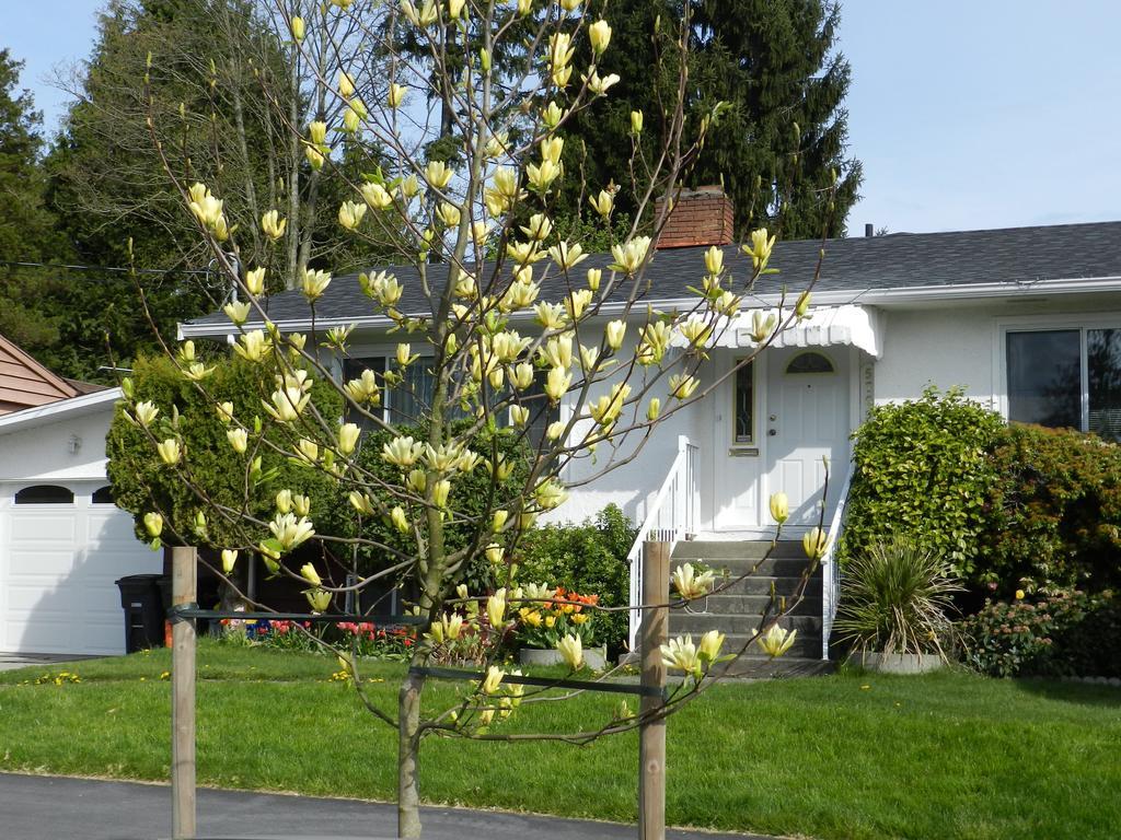 Bed and Breakfast Serenity Burnaby Zewnętrze zdjęcie
