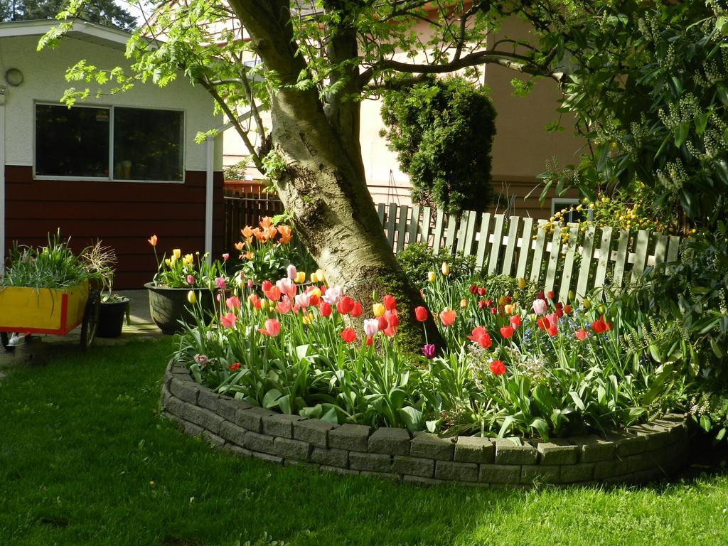 Bed and Breakfast Serenity Burnaby Zewnętrze zdjęcie