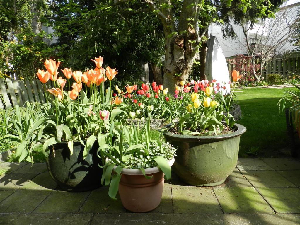 Bed and Breakfast Serenity Burnaby Zewnętrze zdjęcie